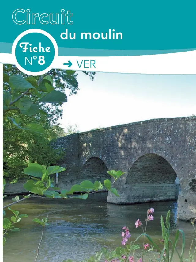 Steinbrücke über einen Bach mit Pflanzen und Blumen