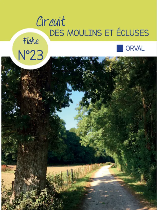 Erdweg, gesäumt von Bäumen und Vegetation