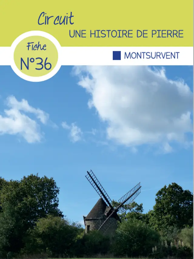 Fiche circuit n°36