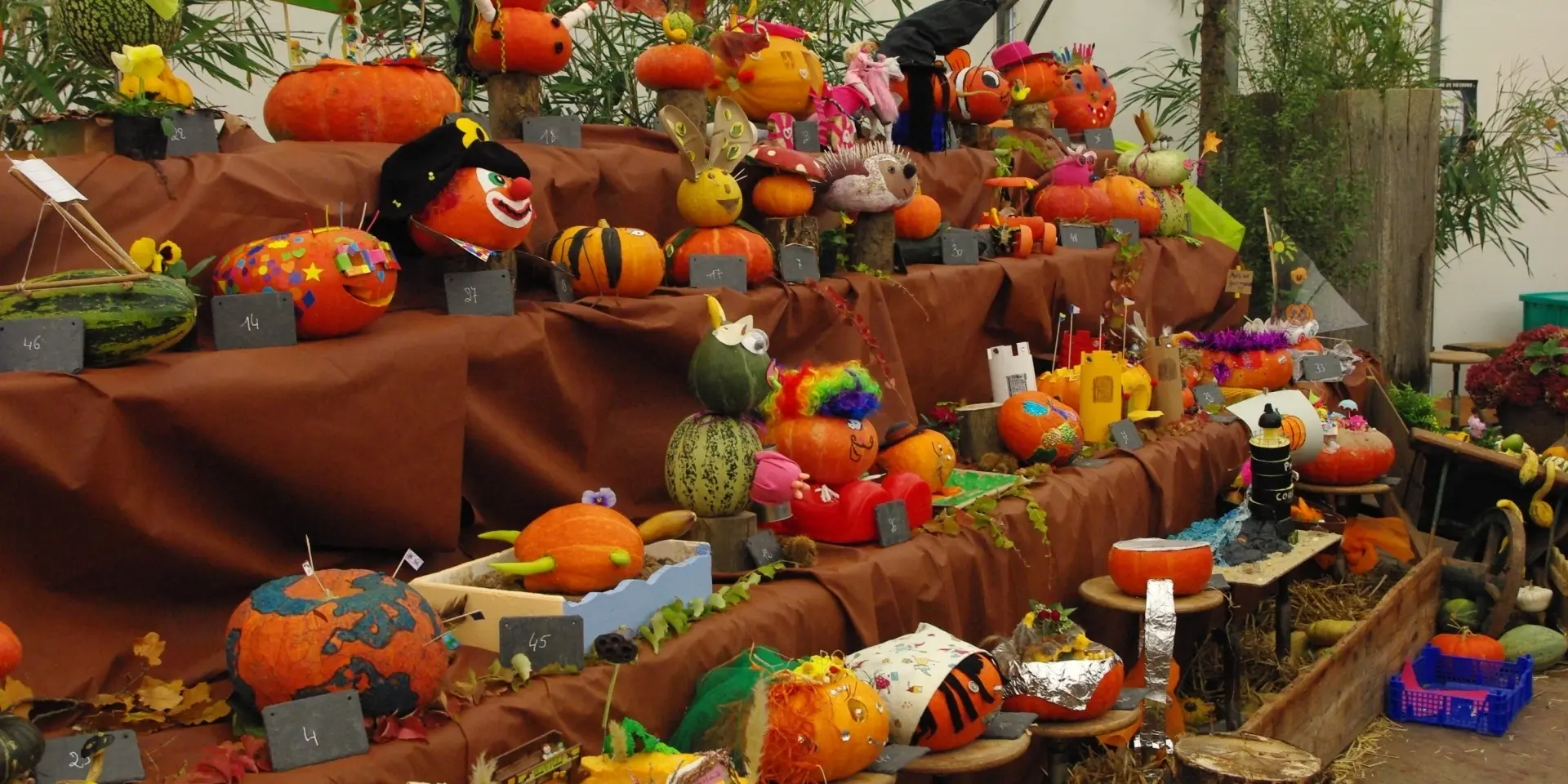 Verschiedene geschnitzte und dekorierte Kürbisse auf Holzböden