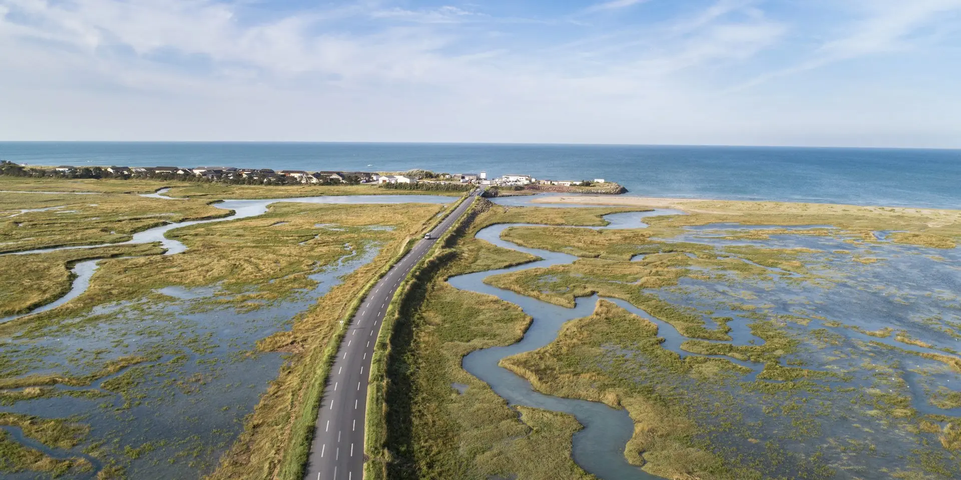 Winding road bordered by vegetation leading to the ocean