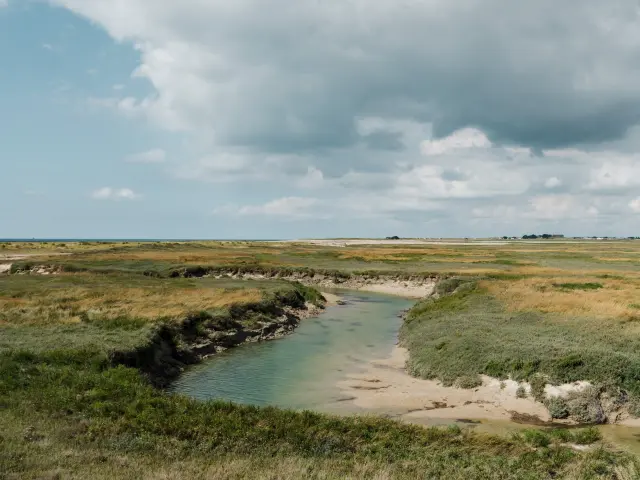 A meandering river cuts through a grassy plain under a cloudy sky