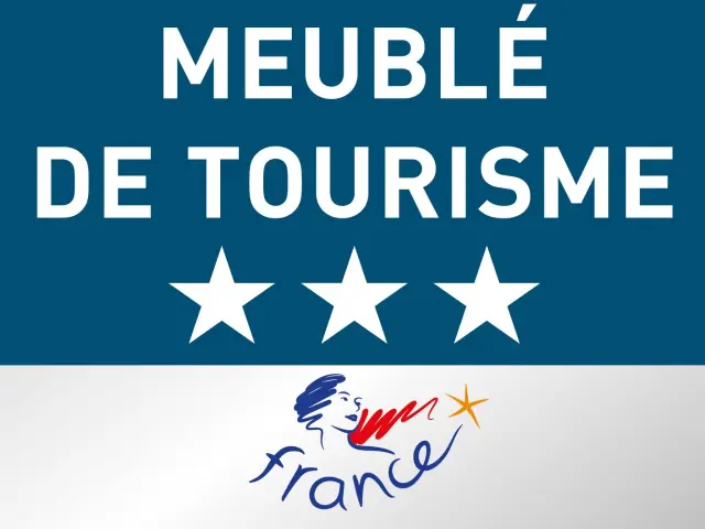 Logo Meublé de Tourisme 3 étoiles avec le logo France