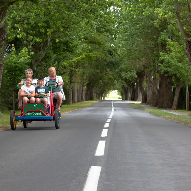 A family of four on a four-seater bicycle on a tree-lined road