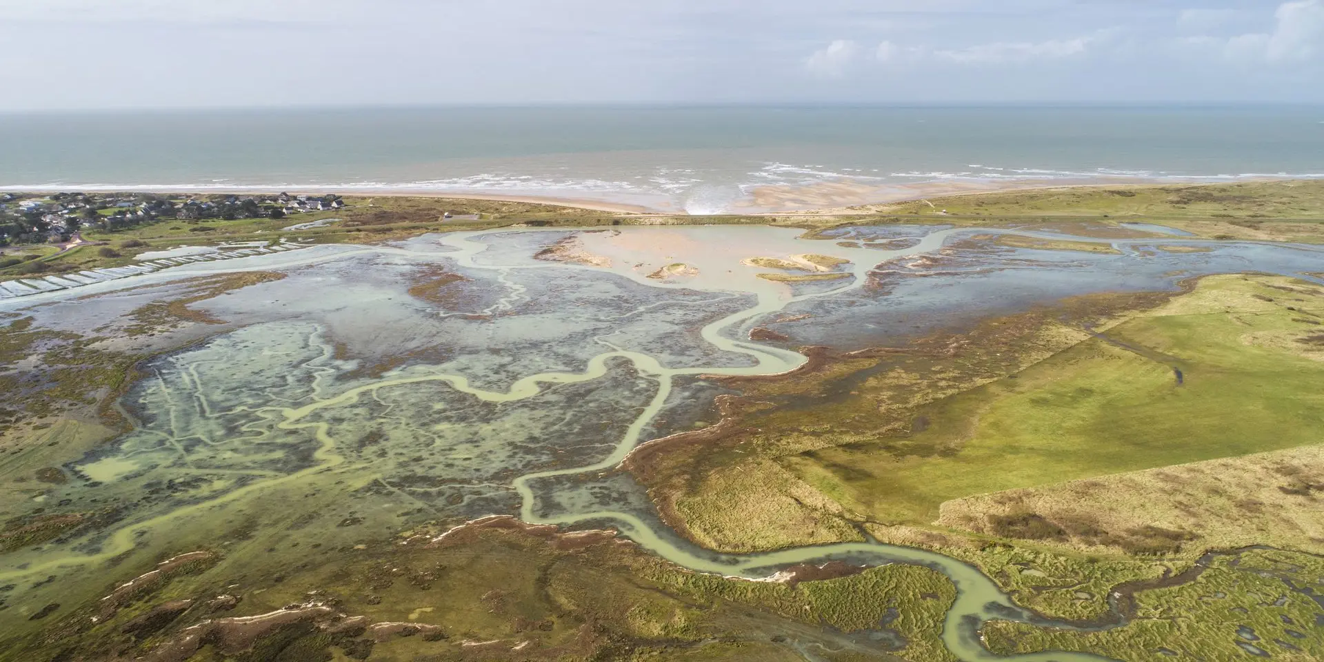 Aerial view of coastal wetlands with water bodies and vegetation