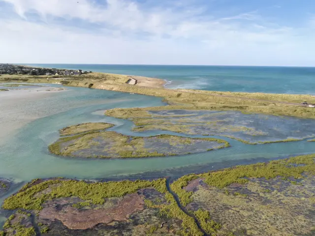 Aerial view of a coastal wetland with water channels and the ocean in the background