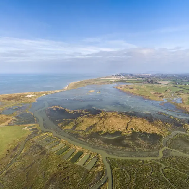 Aerial view of a coastline with farmland and a beach