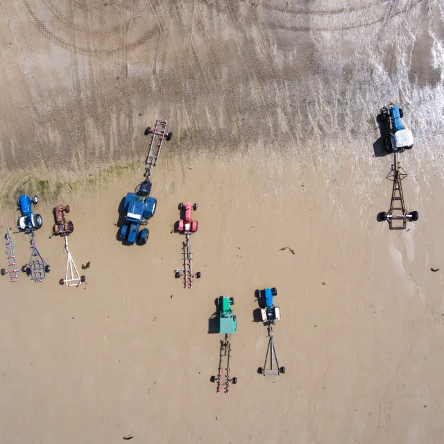 Vertäute Segelboote in einem Hafen bei Sonnenuntergang