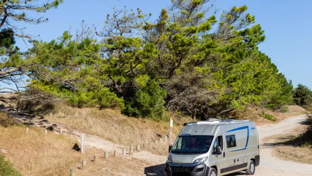 Un camping-car blanc et bleu stationné sur un chemin de terre entouré d'arbres et de végétation