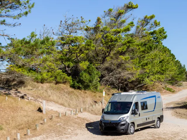 A white and blue camper parked on a dirt road surrounded by trees and vegetation