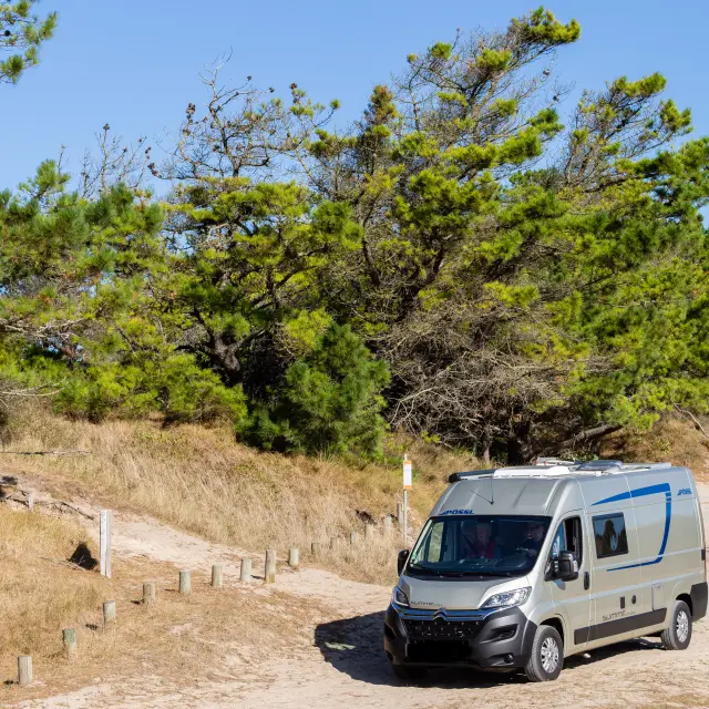 Un camping-car blanc et bleu stationné sur un chemin de terre entouré d'arbres et de végétation