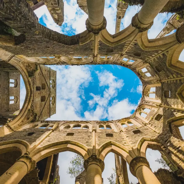 Vue vers le ciel depuis le centre de l'Abbaye de Hambye.