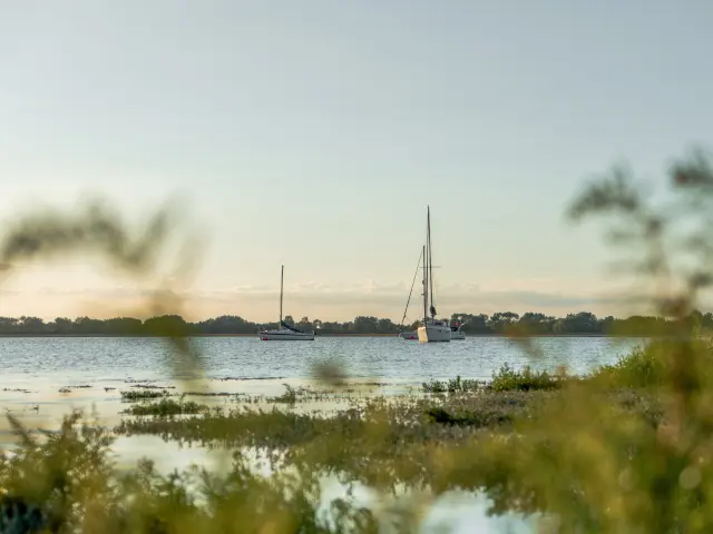 Havre de Regnéville sur Mer