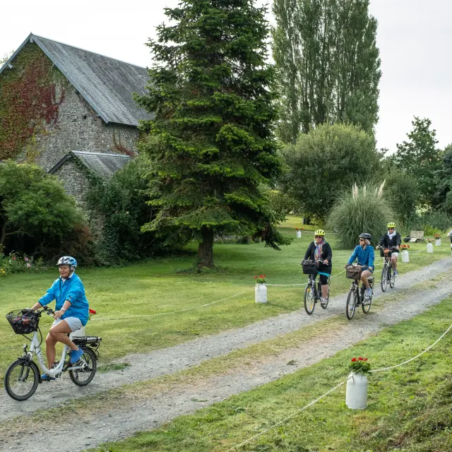 Children and adults cycling on a tree-lined path in a park