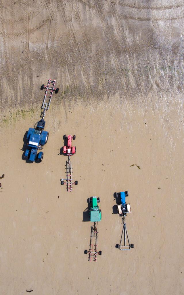 Tracteurs sur l'estran