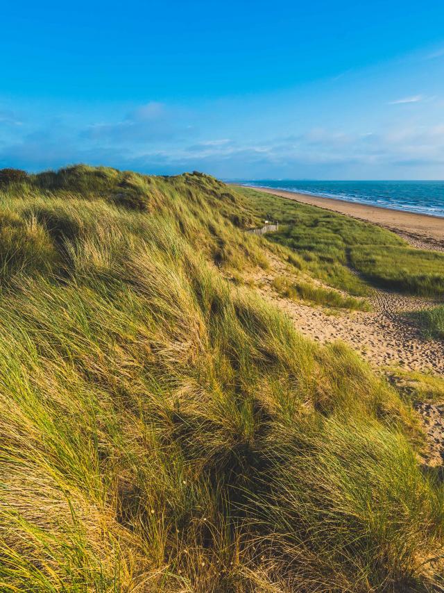 Espace naturel protégé des dunes d'Annoville