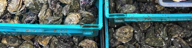 Huitres de Blainville-sur-Mer et produits du terroir de gouville-sur-Mer
