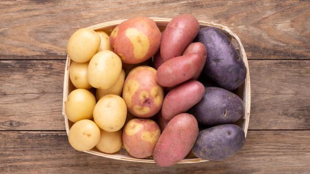 Pomme De Terre