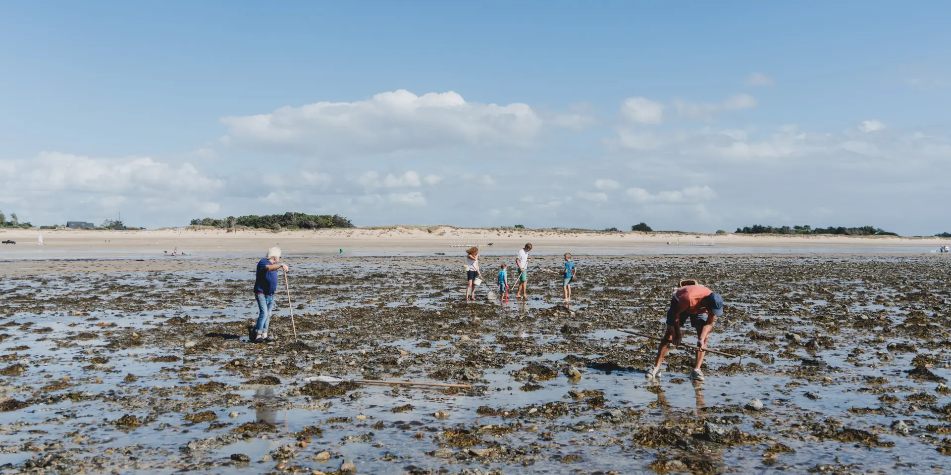 People searching for shells on a beach at low tide
