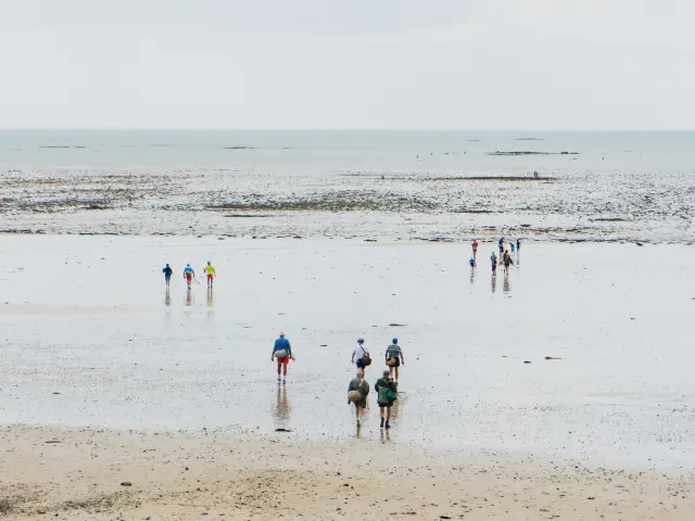 Group of people walking on a beach with waves in the background