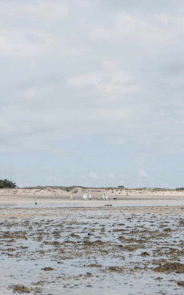 Chars à voile sur la plage de Agon Coutainville