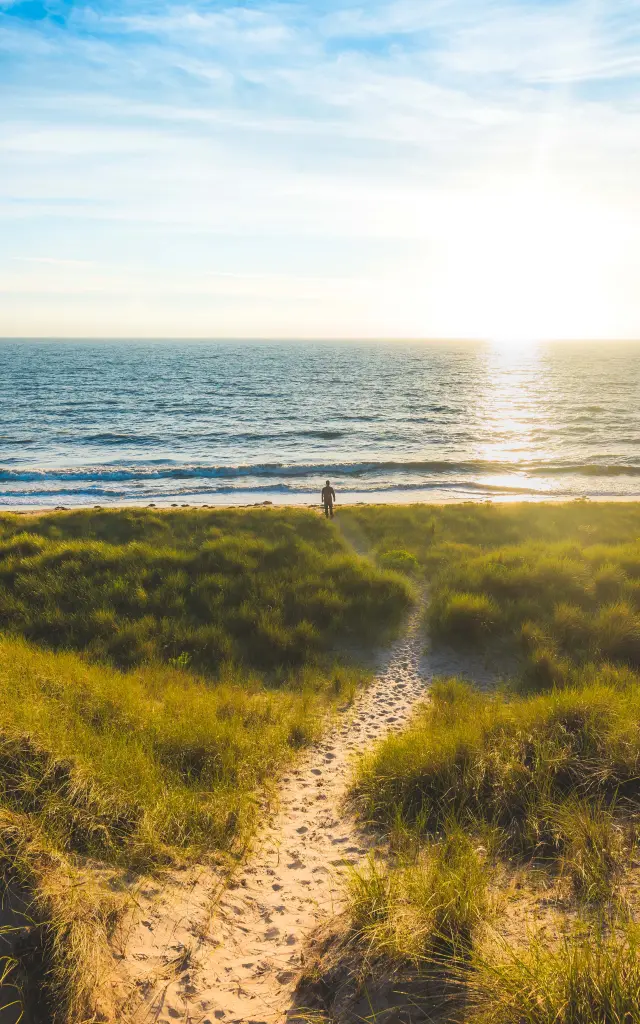 Soleil couchant à Annoville dans les dunes