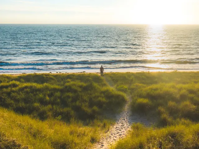 Soleil couchant à Annoville dans les dunes