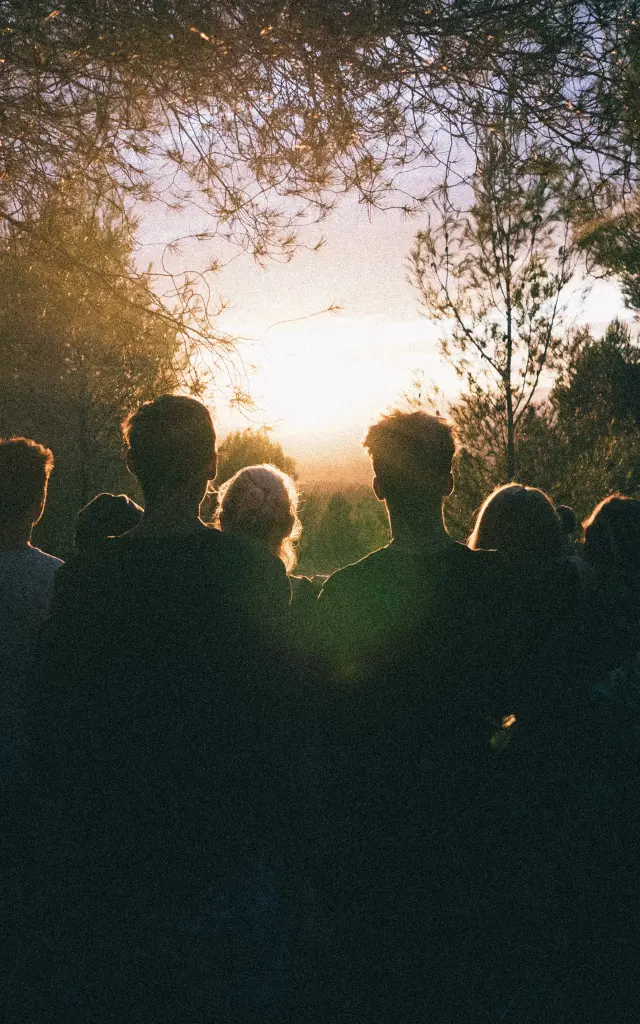 Silhouettes de personnes dans une forêt au coucher du soleil
