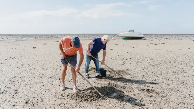 Two people picking up trash on a beach