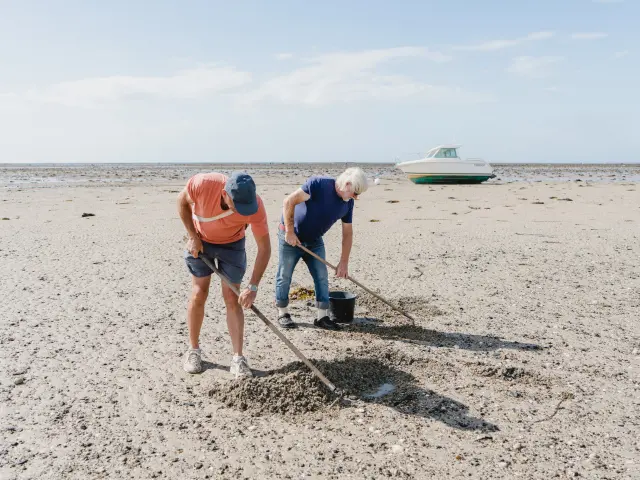 Deux personnes ramassent des coquillages sur une plage