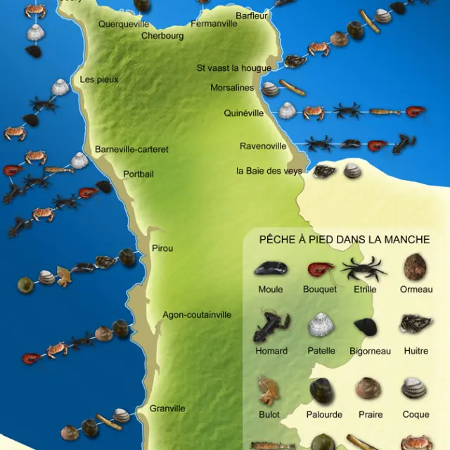 Tourist map of intertidal fishing zones in the English Channel with available species