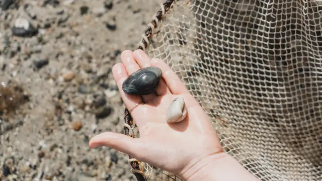 A hand holding three pebbles of different sizes and colors