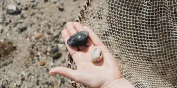 A hand holding three pebbles of different sizes and colors