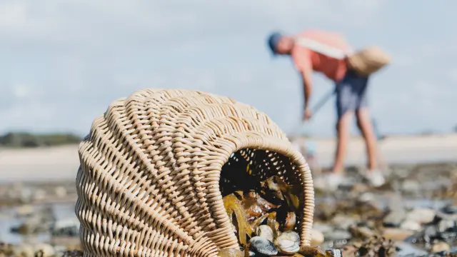 Un panier en osier rempli de coquillages sur une plage à Agon Coutainville