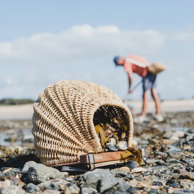 Un panier en osier rempli de coquillages sur une plage à Agon Coutainville