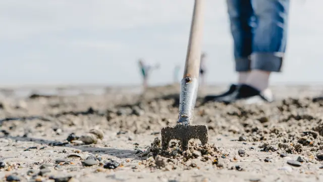 Excavator digging in the beach sand