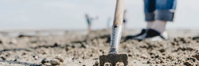Griffe sans le sable à la pêche à pied à Agon Coutainville