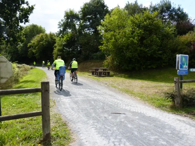 Zwei Radfahrer in Gelb und Blau fahren auf einem Feldweg, der von Bäumen und Vegetation gesäumt ist