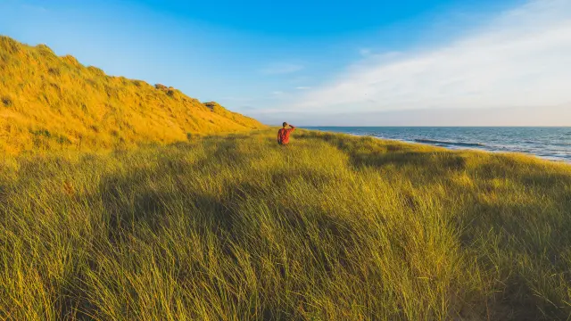 Person walking on grassy dunes near the sea