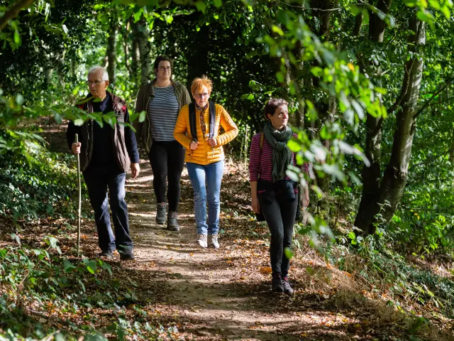Quatre personnes marchant sur un sentier en forêt, randonnée à Coutances mer et bocage