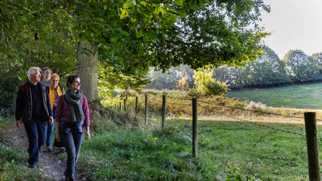 Groupe de personnes marchant dans un chemin de campagne à Coutances mer et bocage