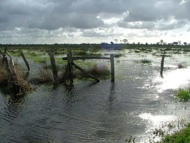 Marais inondé en hiver entre Gorges et Meautis