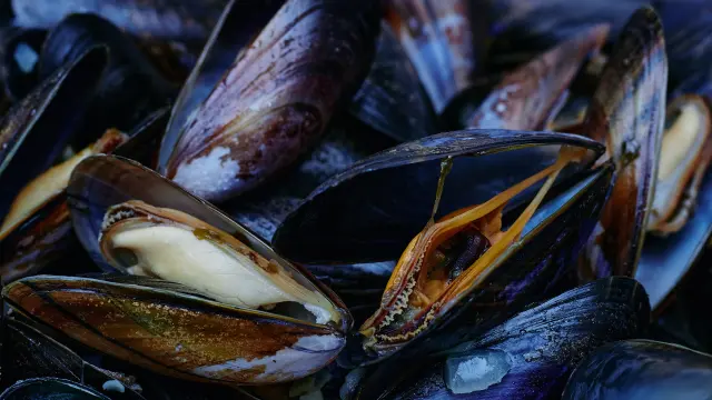 Moules fraîches empilées sur une surface sombre