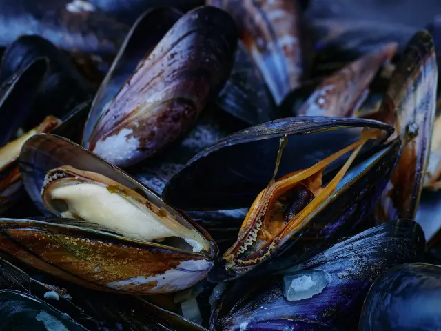 Moules fraîches empilées sur une surface sombre