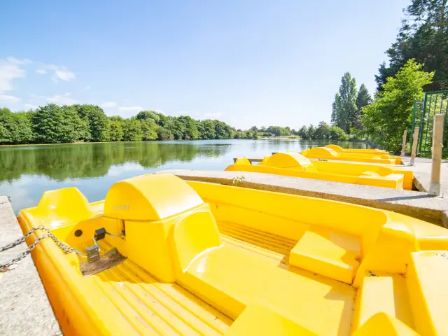 Pédalos jaunes alignés au bord de la mare de l'essay à Agon Coutainville