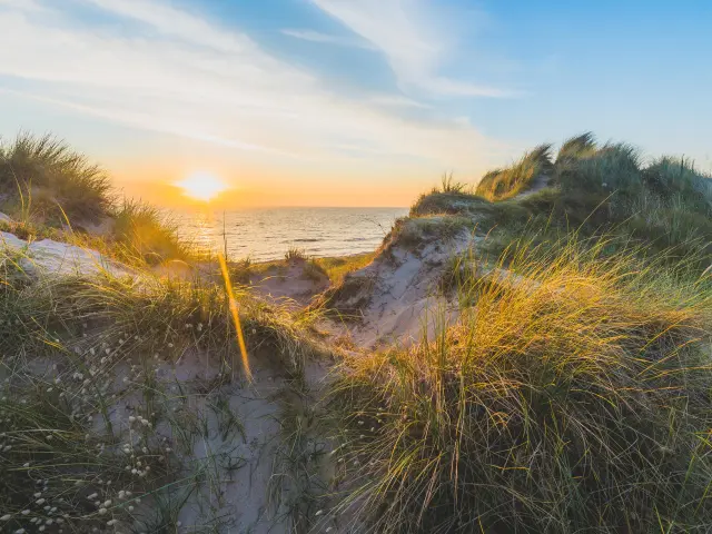 Sunset on a grassy dune with the sea in the background