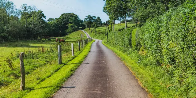 Route sinueuse bordée de verdure et de clôtures en bois dans le bocage