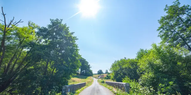 Route de campagne bordée d'arbres et de végétation luxuriante sous un ciel bleu ensoleillé dans le bocage