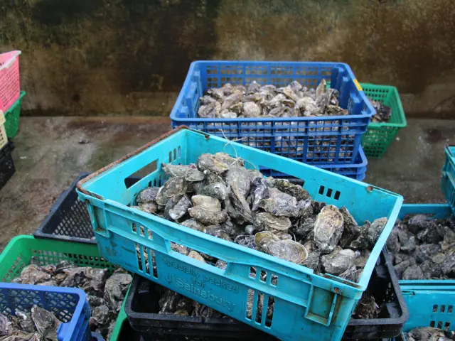 Voiliers amarrés dans un port au crépuscule, avec des reflets sur l’eau et des terrasses éclairées en arrière-plan
