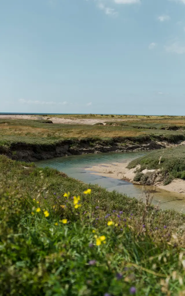 Havre de Blainville sur Mer